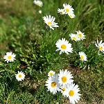 Melodia Ciszy Debina شقة