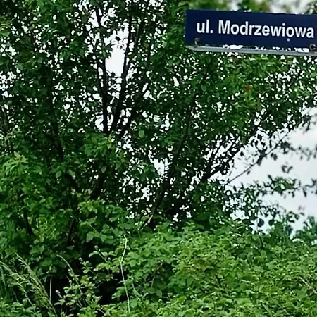 Melodia Ciszy Debina Debina (Ustka)