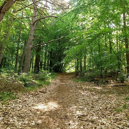 Melodia Ciszy Debina Διαμέρισμα Debina (Ustka)