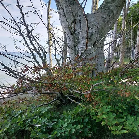 Melodia Ciszy Debina Lägenhet *