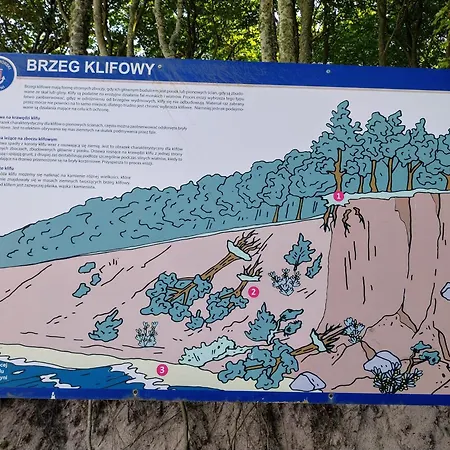 Melodia Ciszy Debina *