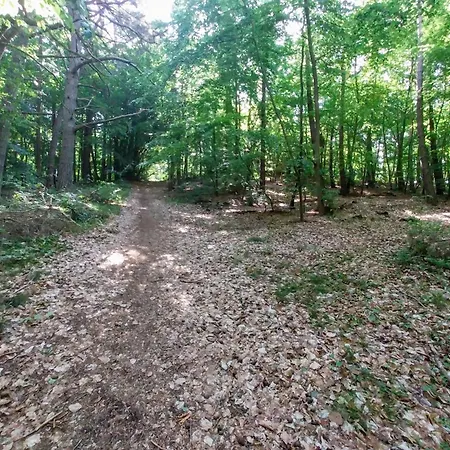 Melodia Ciszy Debina