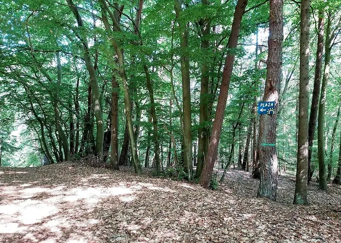 Melodia Ciszy Debina *