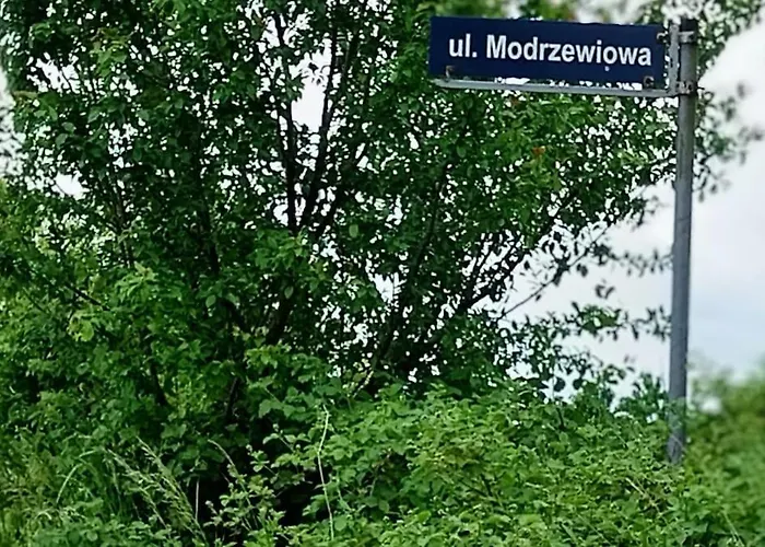 Melodia Ciszy Debina Debina (Ustka)