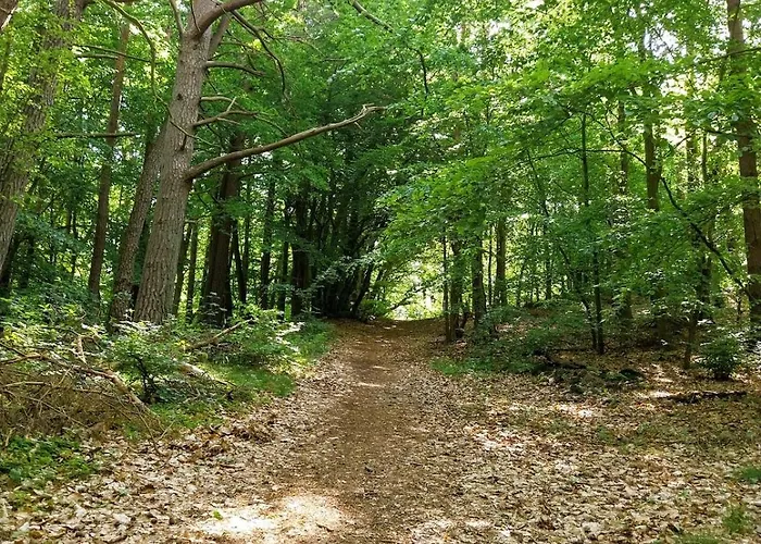 Melodia Ciszy Debina Lägenhet Debina (Ustka)
