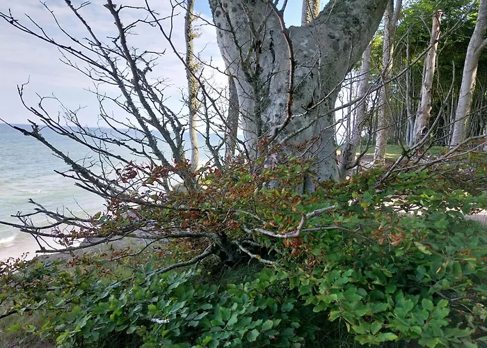 Melodia Ciszy Debina Lägenhet *