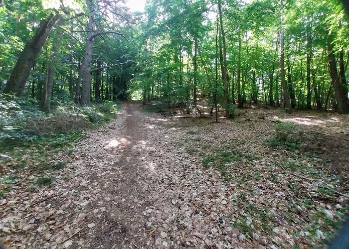 Melodia Ciszy Debina